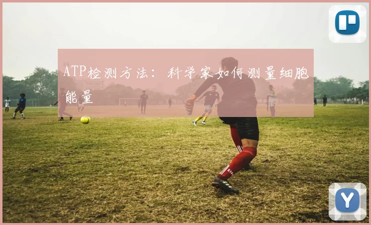 ATP检测方法：科学家如何测量细胞能量