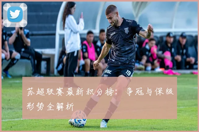苏超联赛最新积分榜：争冠与保级形势全解析