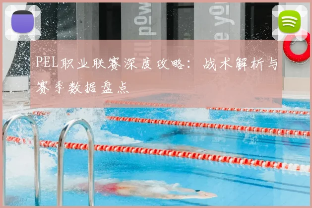 PEL职业联赛深度攻略：战术解析与赛季数据盘点