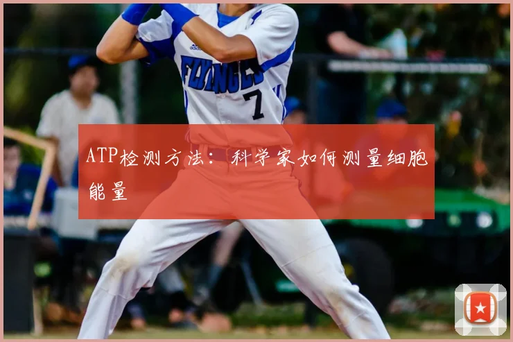 ATP检测方法：科学家如何测量细胞能量