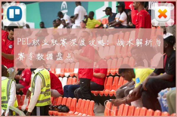PEL职业联赛深度攻略：战术解析与赛季数据盘点