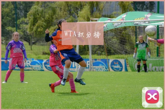 WTA积分榜