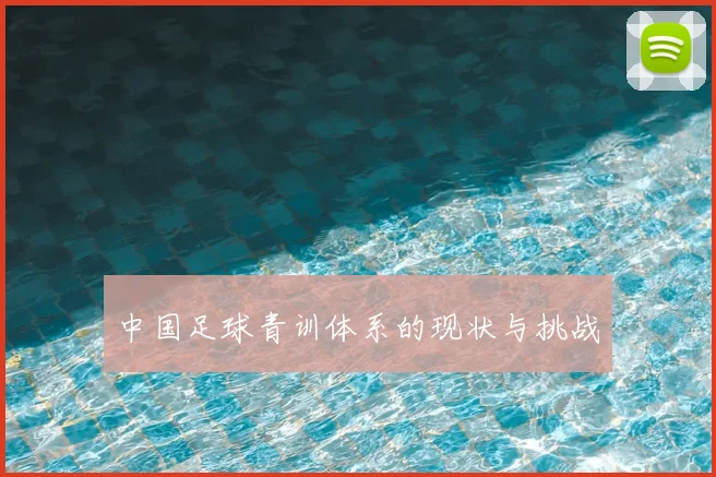 中国足球青训体系的现状与挑战